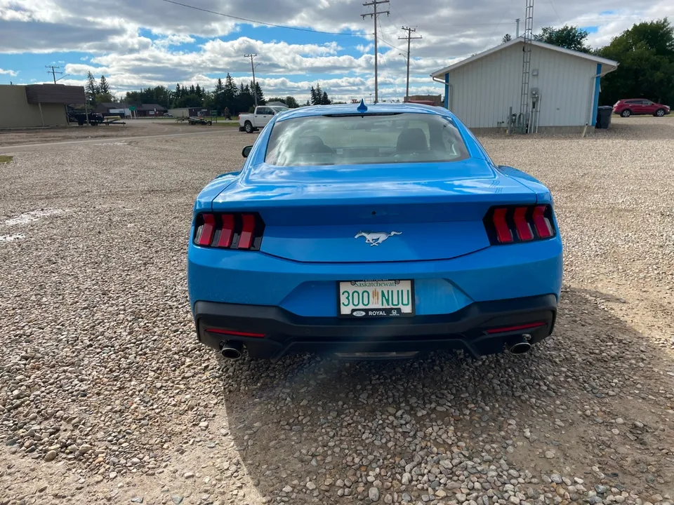 Ford Mustang 2024 photo 2