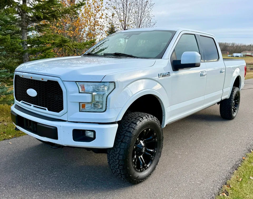 Ford F-150 2016 photo 3