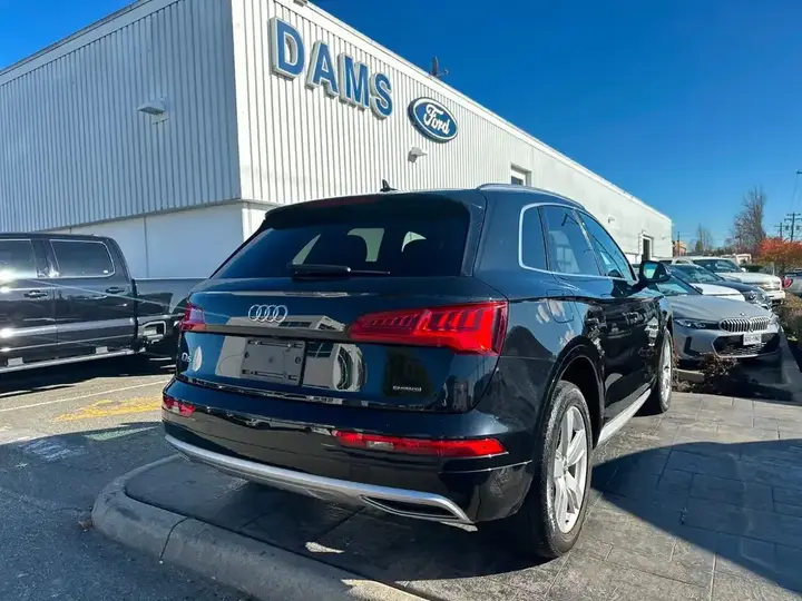 Audi Q5 2020 photo 3
