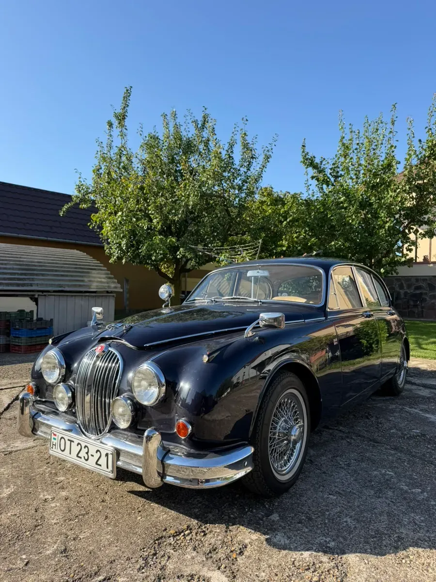 Jaguar Sonstige