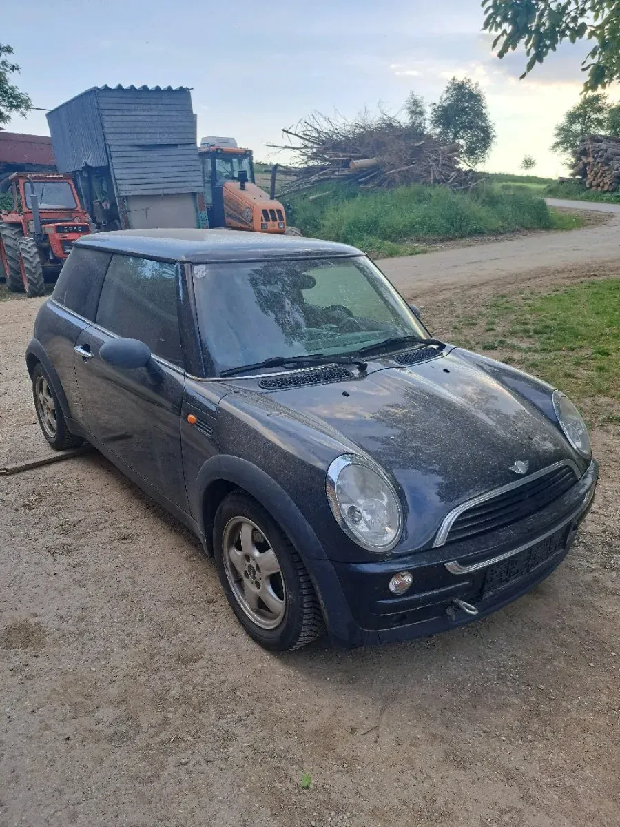 Mini Sonstige