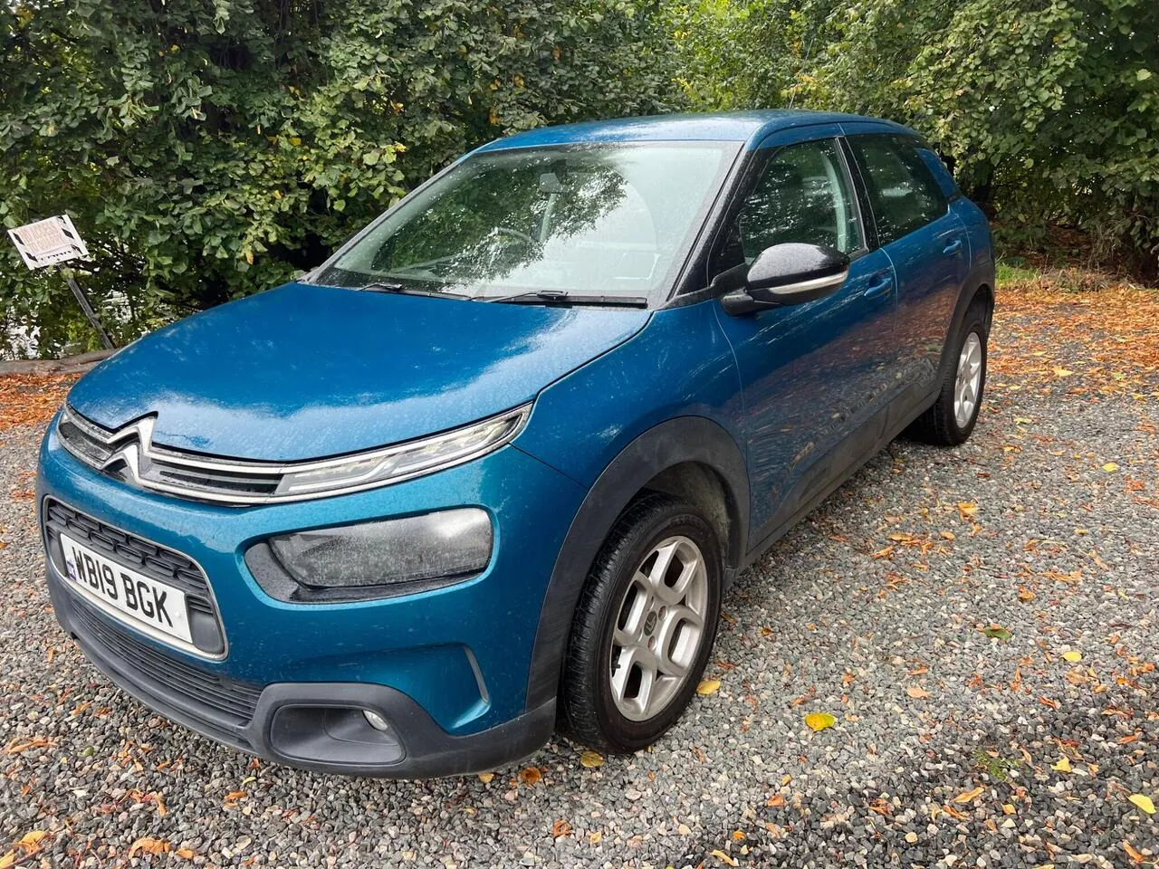 Citroen C4 Cactus 2019 photo 5