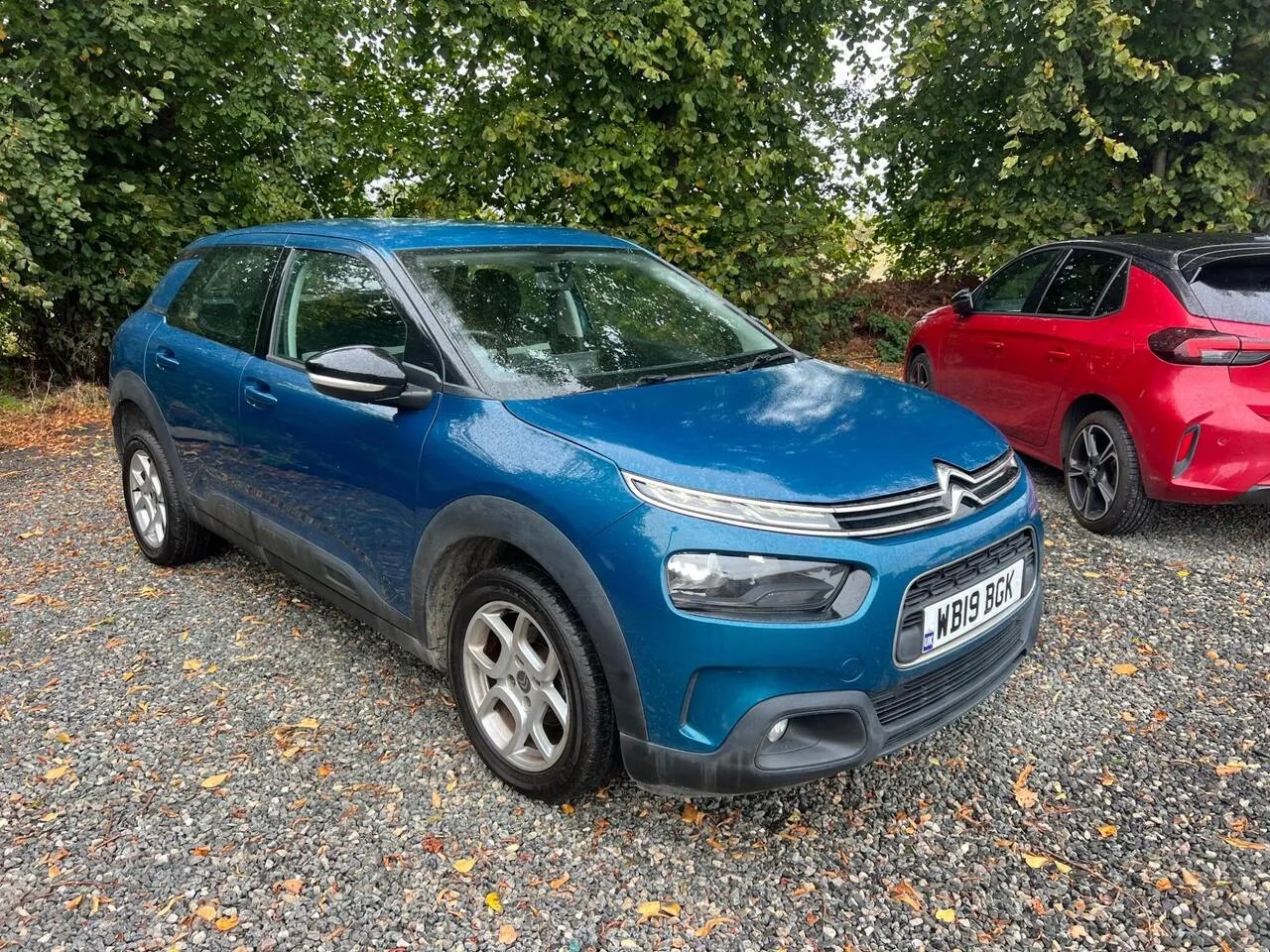 Citroen C4 Cactus 2019 photo 2