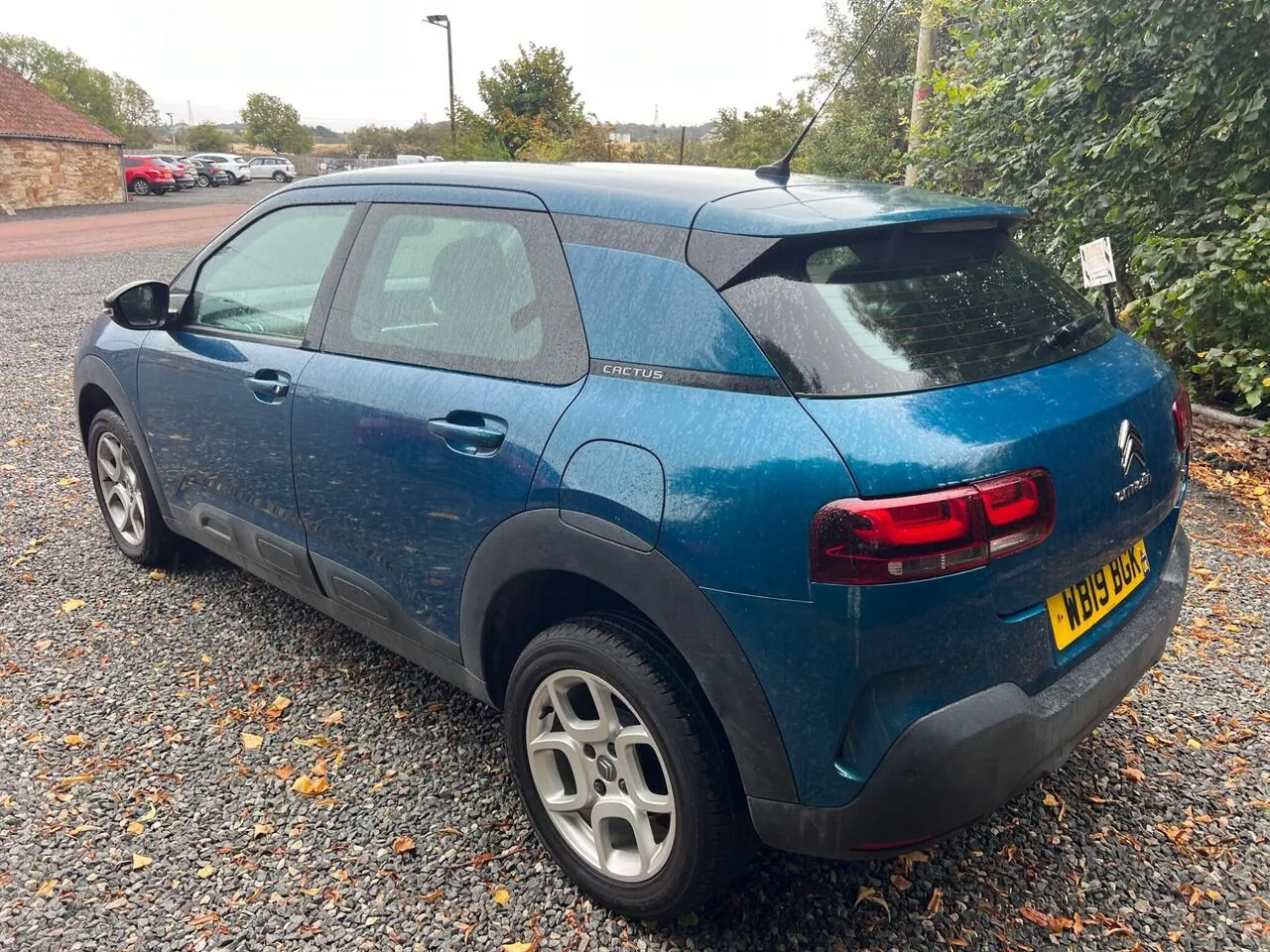 Citroen C4 Cactus 2019 photo 4