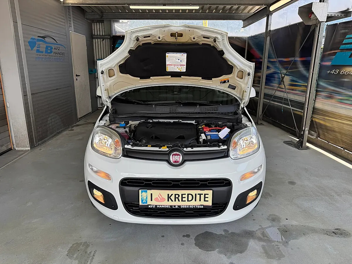 Fiat Panda 2019 photo 2