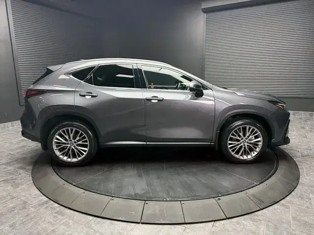 Lexus Nx 2024 photo 2