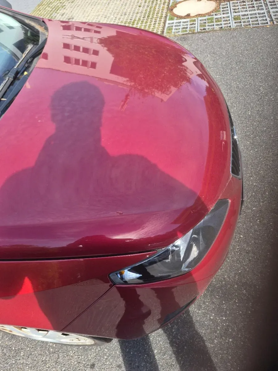 Seat Ibiza 2009 photo 2