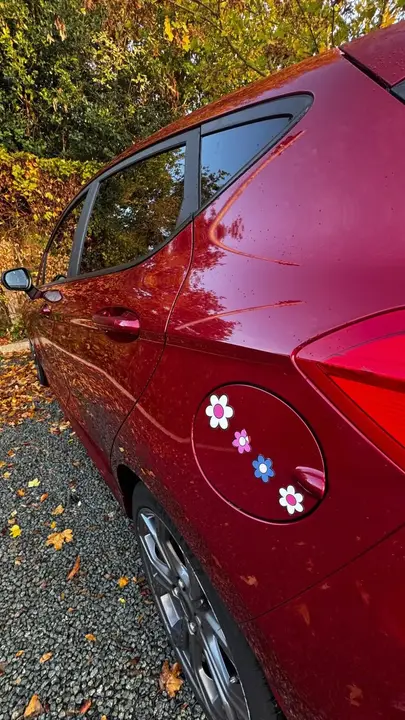 Ford Fiesta 2019 photo 3