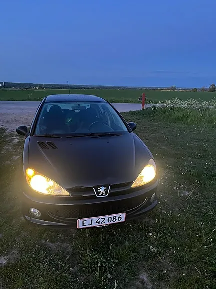 Peugeot 206 2009 photo 4