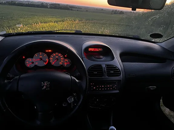 Peugeot 206 2009 photo 3