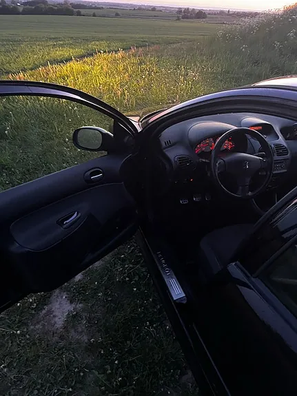 Peugeot 206 2009 photo 2