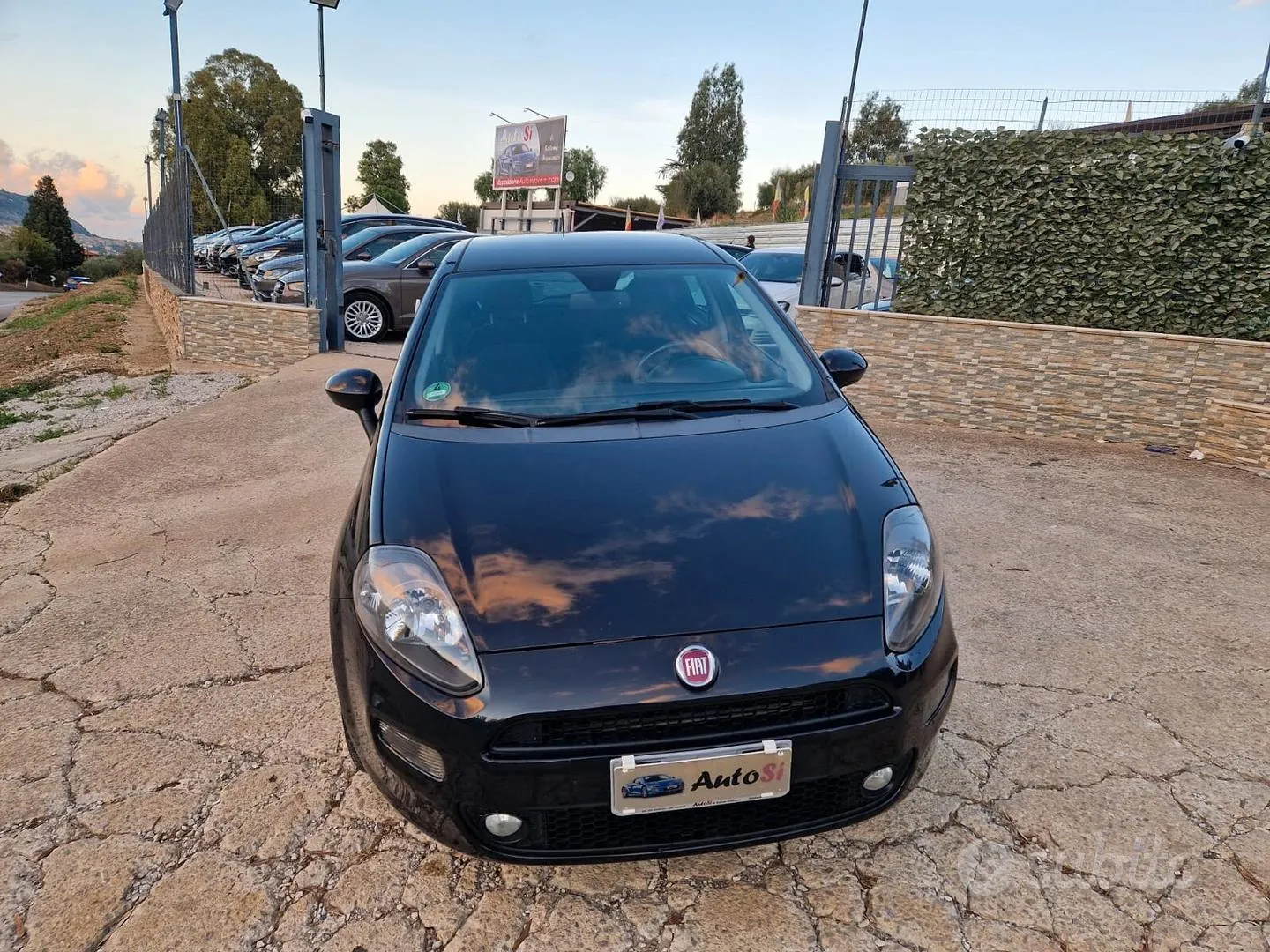 Fiat Punto 2016 photo 3