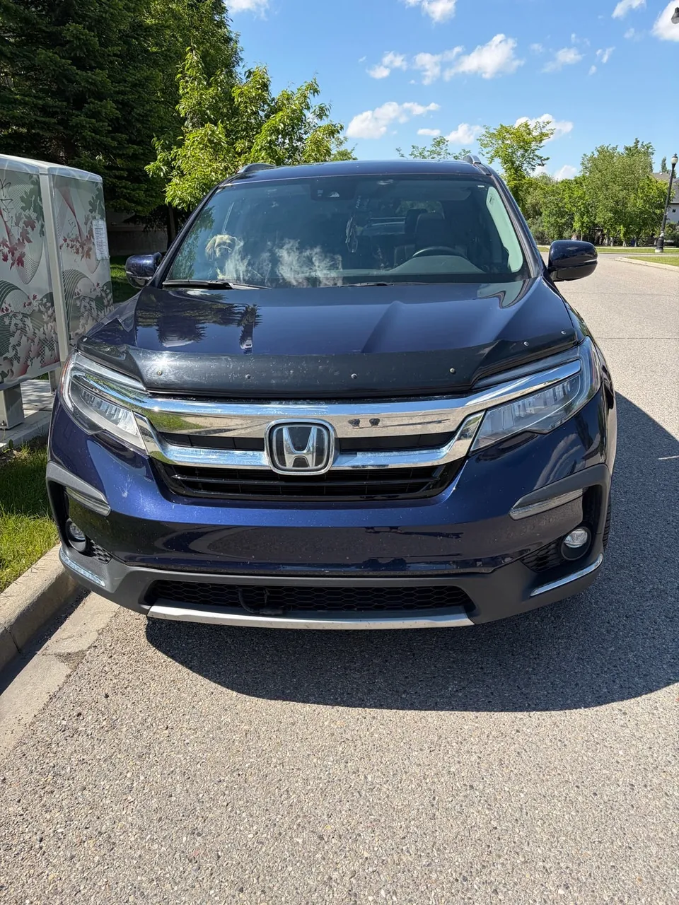 Honda Pilot 2019 photo 2