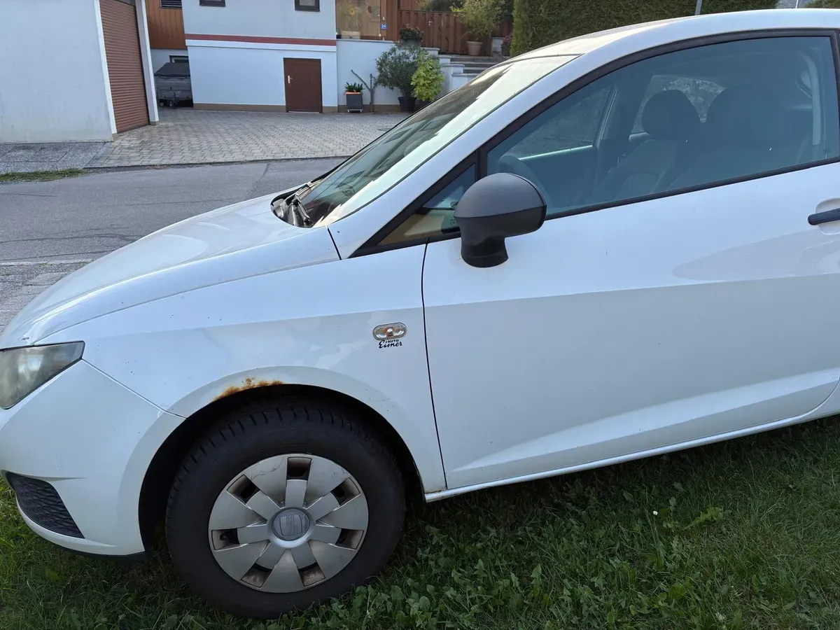 Seat Ibiza 2011 photo 2