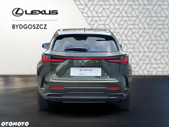 Lexus Nx 2025 photo 5