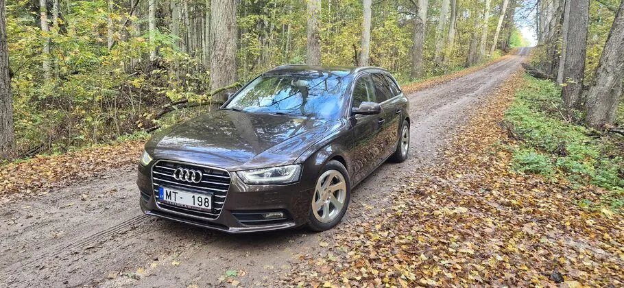 Audi A4 2013 photo 2
