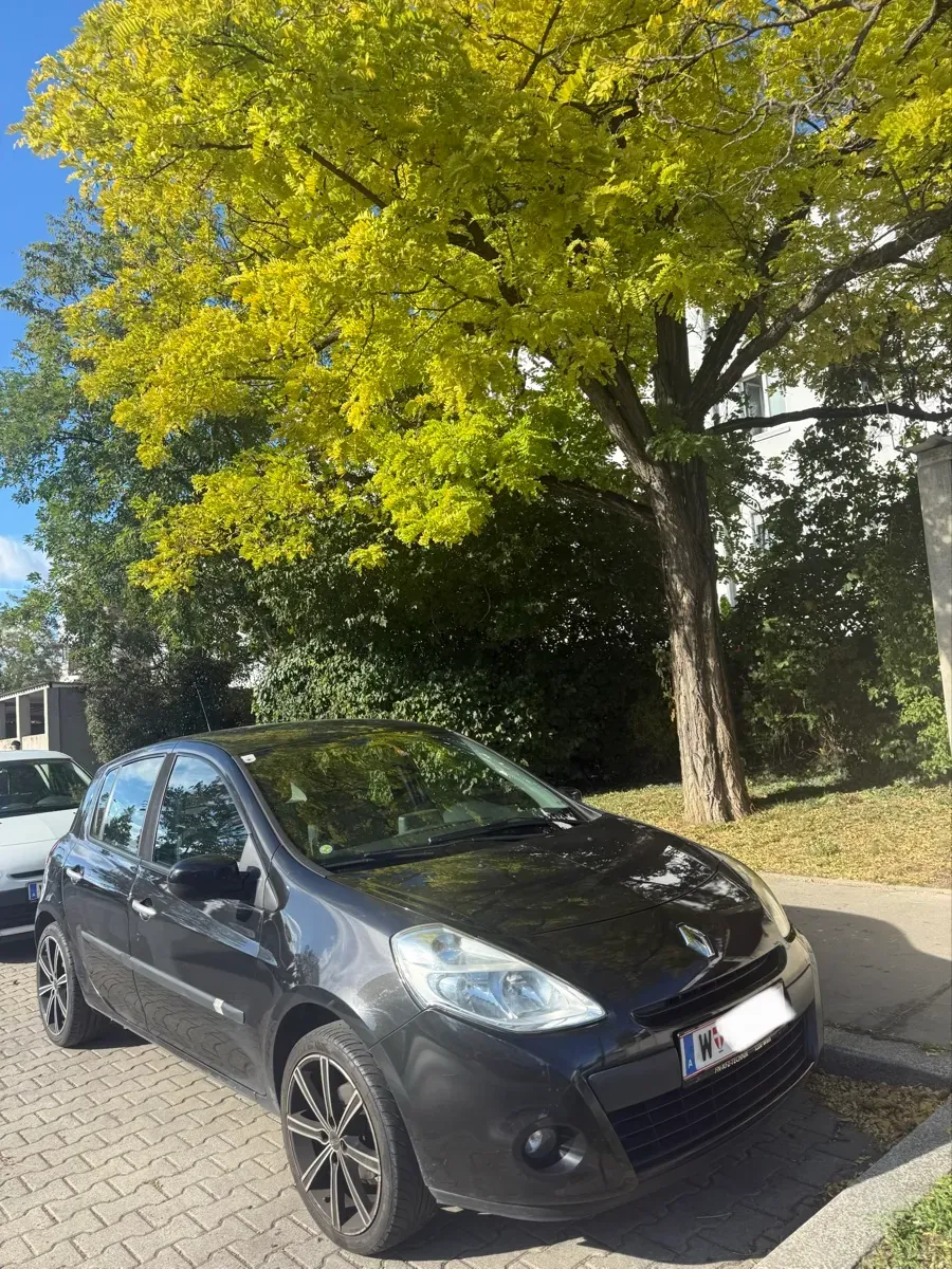 Renault Clio 2010 photo 3