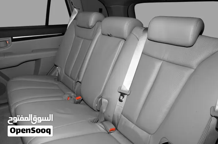 Hyundai Santa Fe 2008 photo 5
