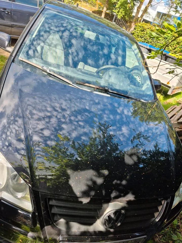Volkswagen Polo 9N