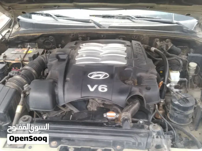 Hyundai Terracan 2003 photo 4