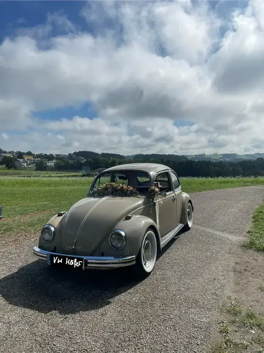 Volkswagen Käfer