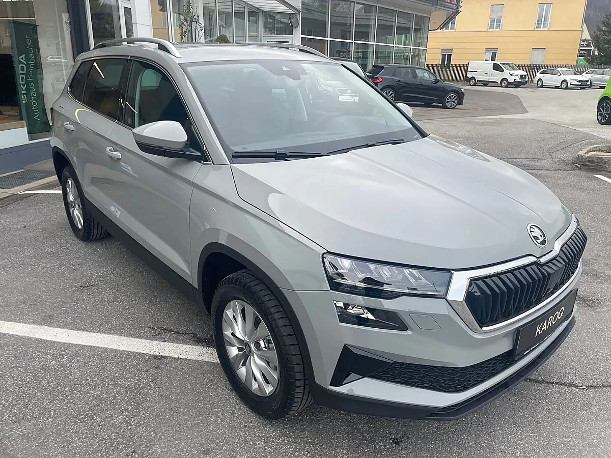 Skoda Karoq 2026 photo 3