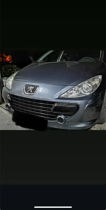 Peugeot 307 2007 photo 2