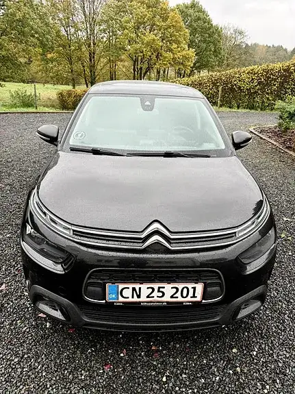 Citroen C4 Cactus 2018 photo 2