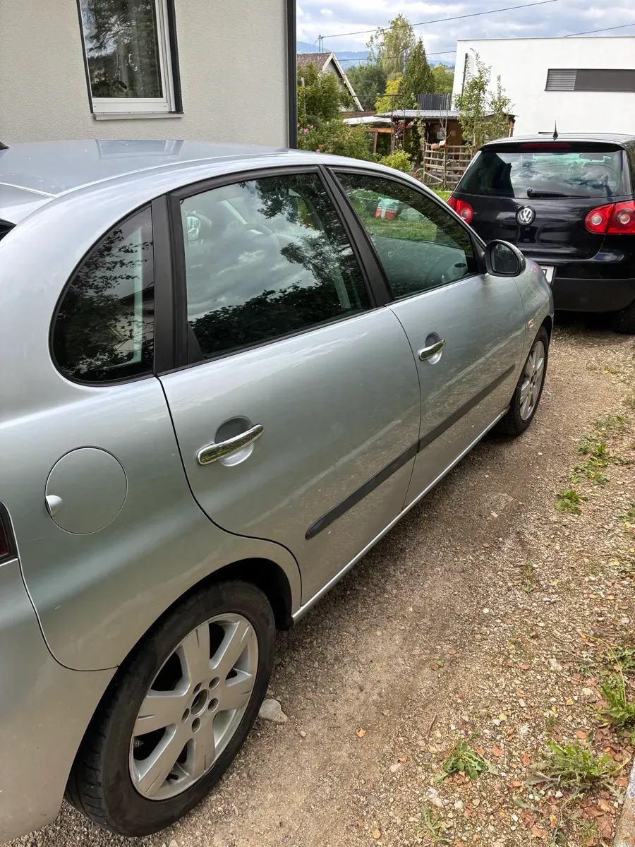Seat Ibiza 2008 photo 3