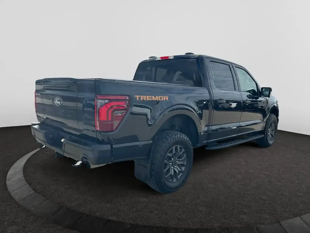 Ford F-150 2025 photo 5