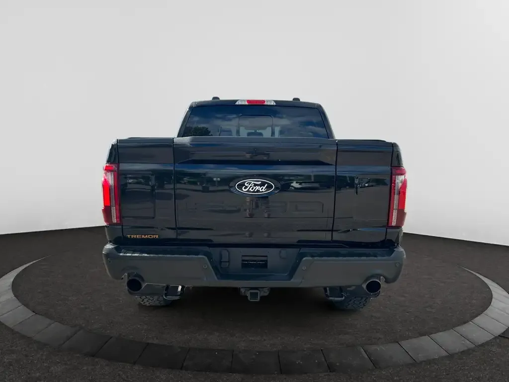 Ford F-150 2025 photo 4