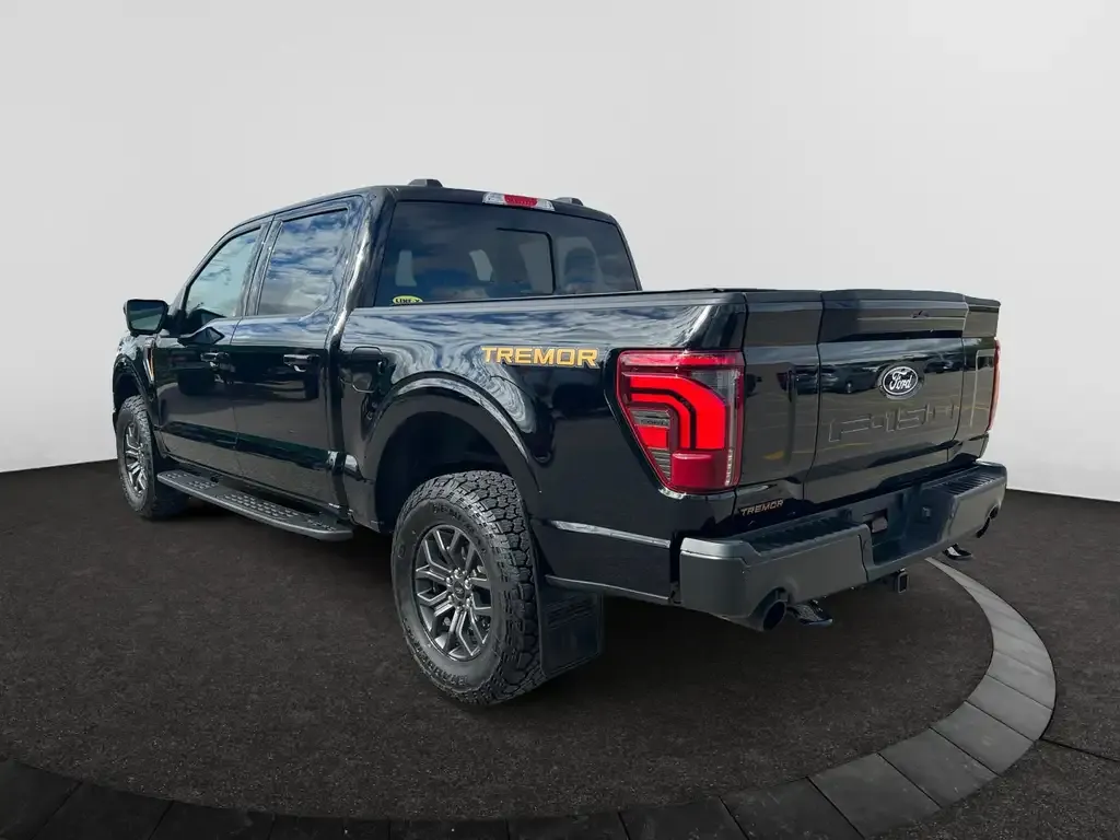 Ford F-150 2025 photo 3