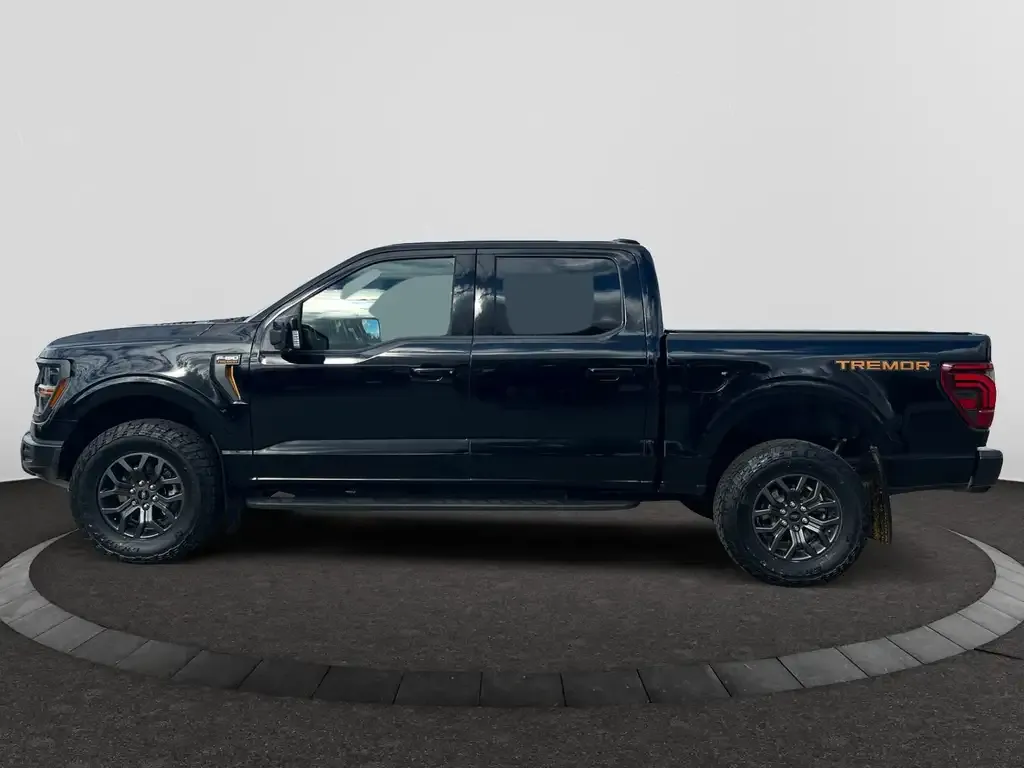 Ford F-150 2025 photo 2