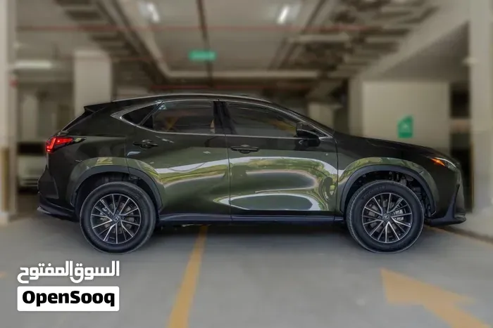 Lexus Nx 350H 2024 photo 4