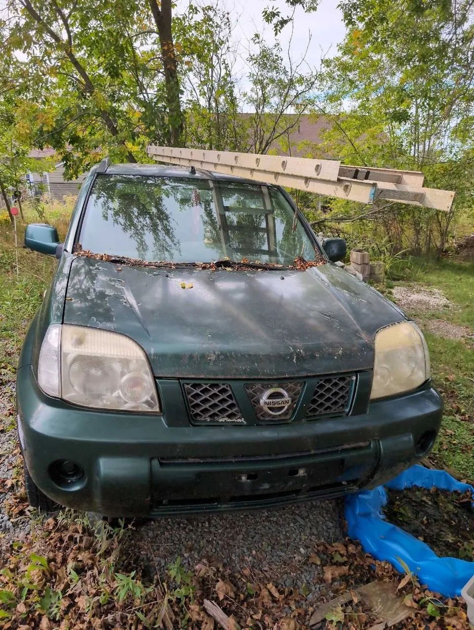 Nissan X-Trail 2006 photo 2