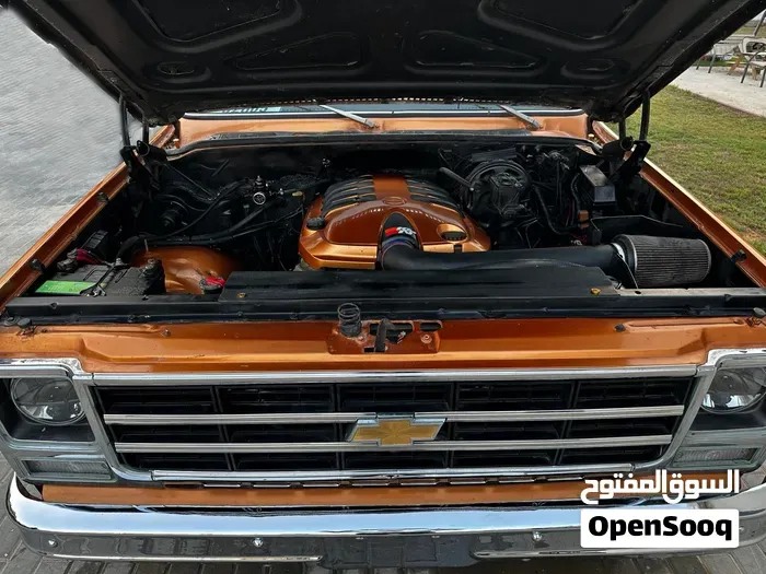 Chevrolet Silverado 1979 photo 3