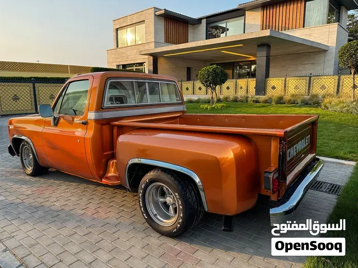 Chevrolet Silverado 1979 photo 2