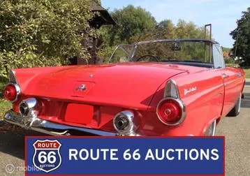 Ford Thunderbird 1955 photo 3