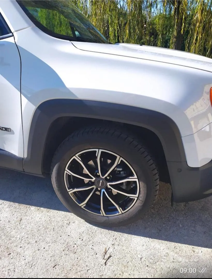 Jeep Renegade 2019 photo 2