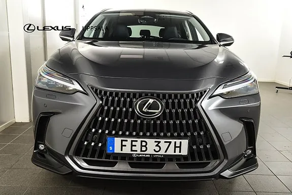Lexus Nx450H+ 2025 photo 5