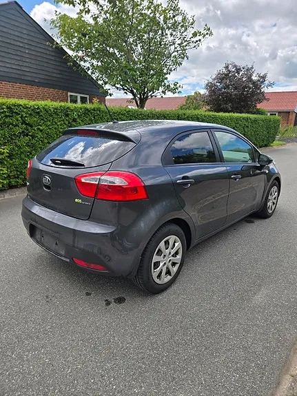 Kia Rio 2014 photo 2