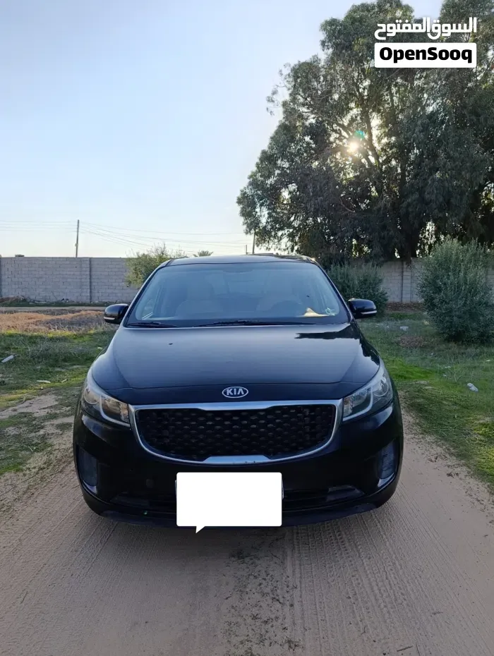Kia Sedona 2017 photo 3