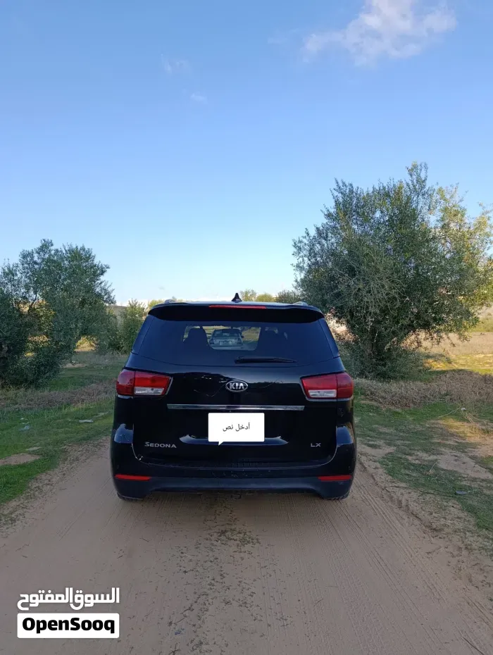 Kia Sedona 2017 photo 2