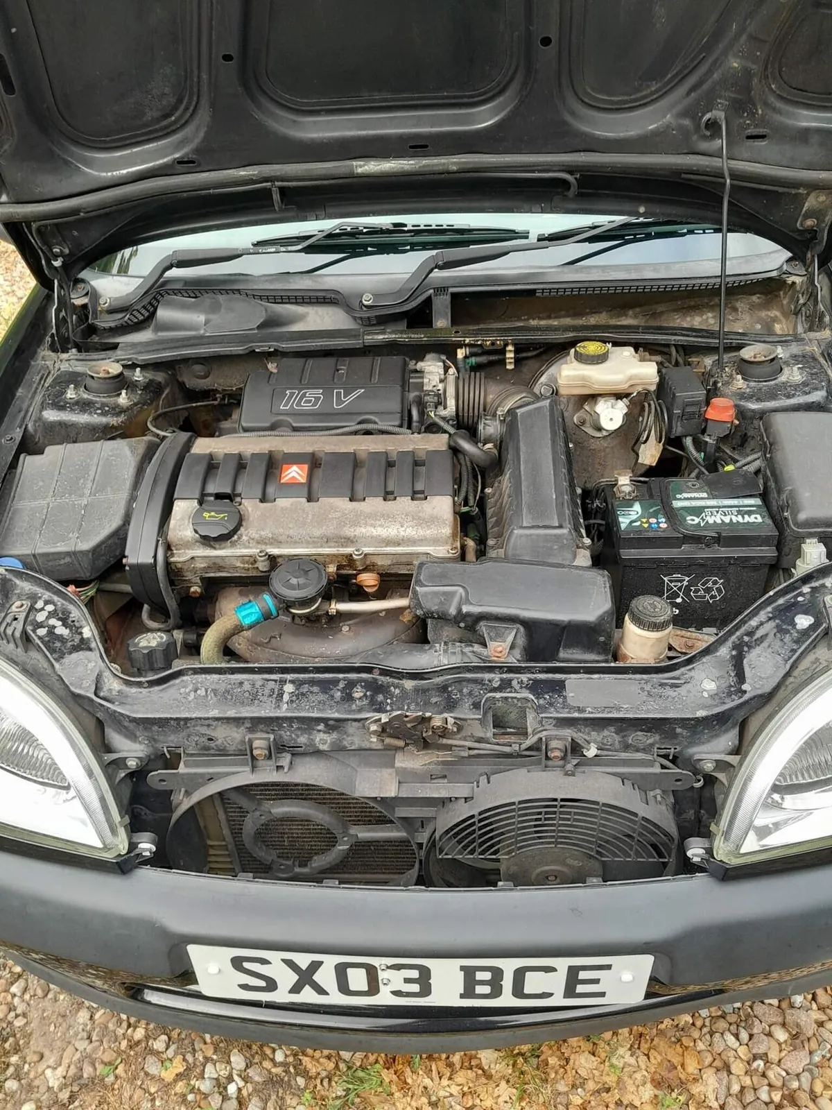 Citroen Saxo 2003 photo 5