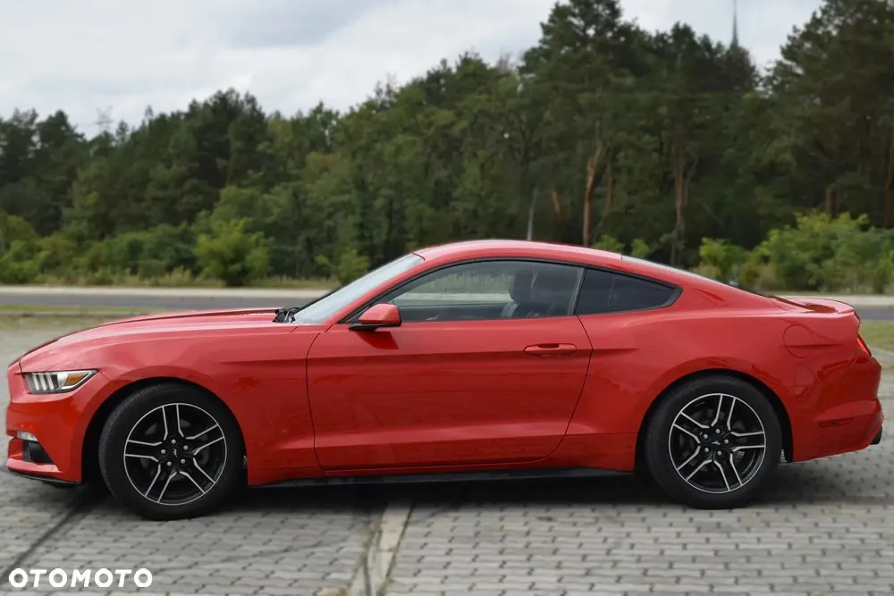 Ford Mustang 2017 photo 5