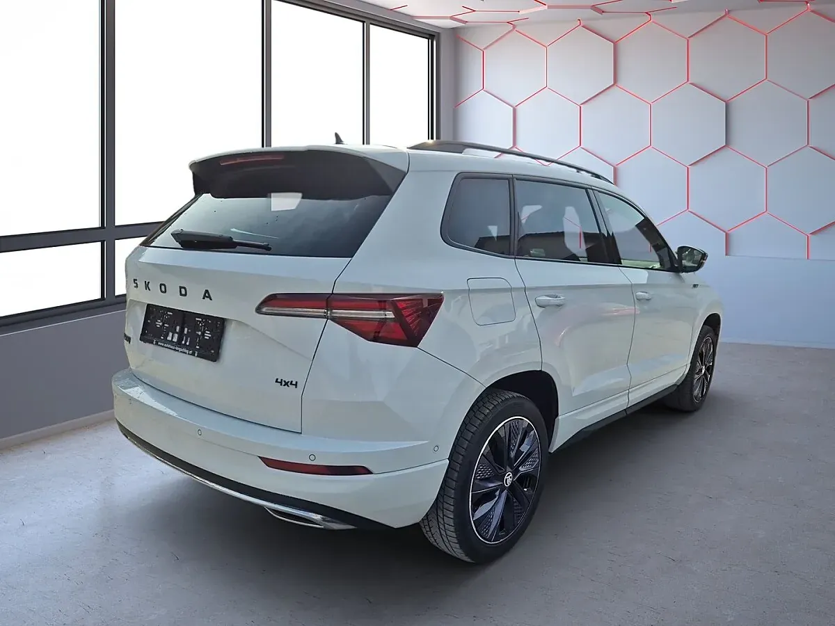 Skoda Karoq 2024 photo 3