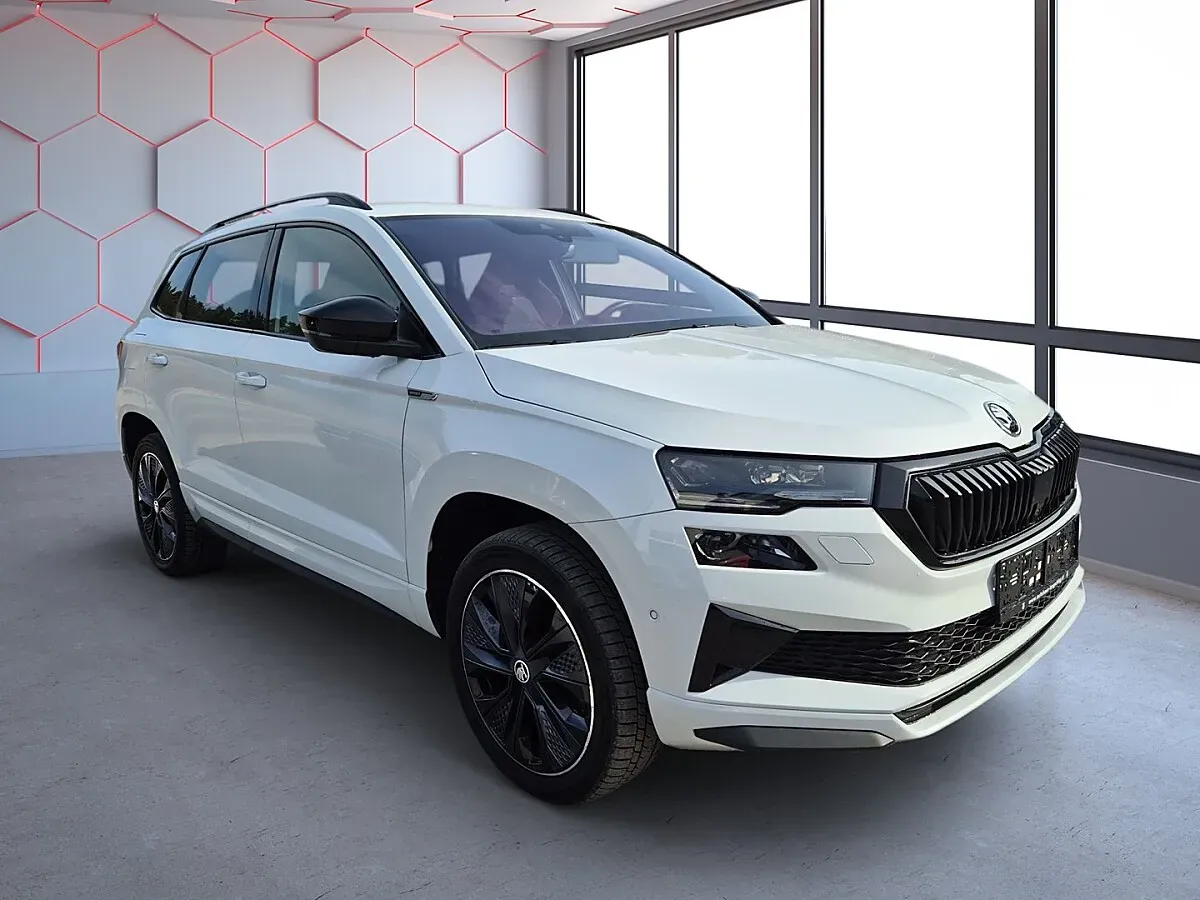 Skoda Karoq 2024 photo 2