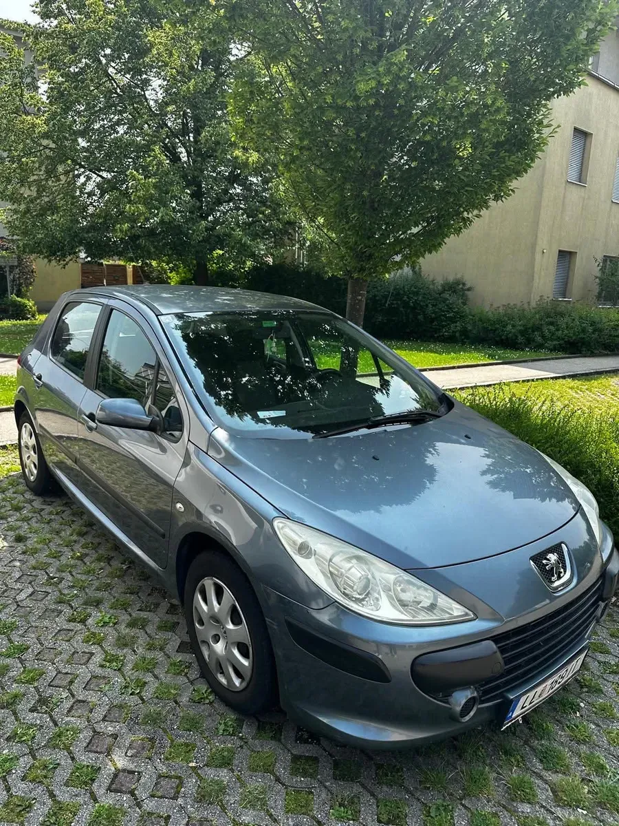 Peugeot 307 2005 photo 2