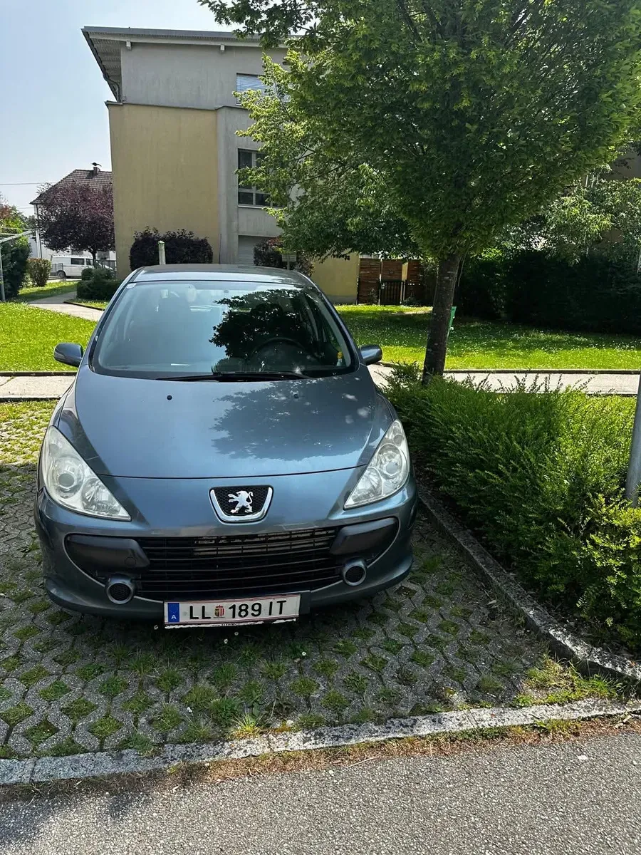 Peugeot 307 2005 photo 3