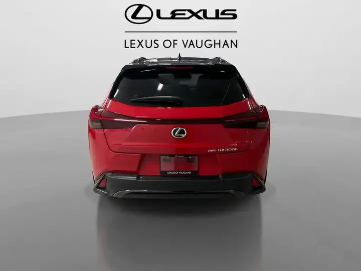 Lexus Ux 2025 photo 5